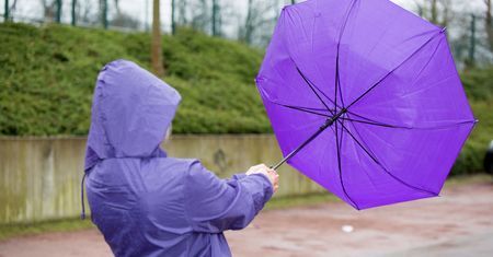 Porywiste wichury nad całą Polską. Ponad 72 tys. odbiorców bez prądu