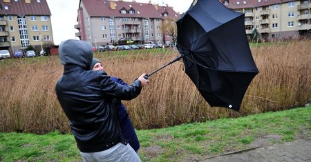 Będzie mocno wiało. Ostrzeżenia dla wielu województw