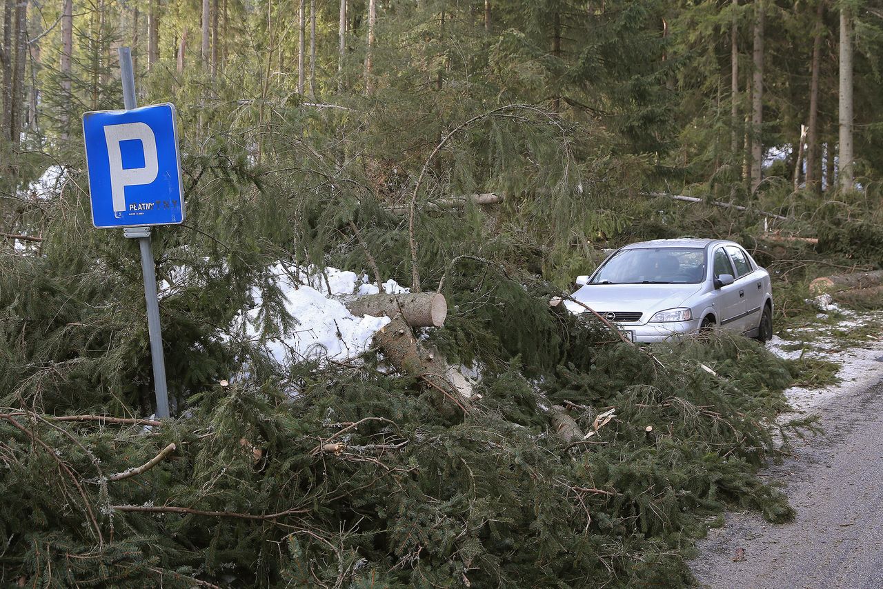 Groźne wichury nad Polską. To nie koniec