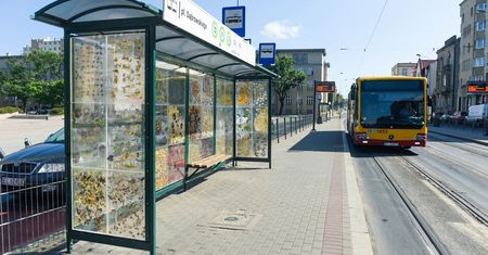 Kwiaty zamiast reklam. Oryginalny przystanek w Łodzi