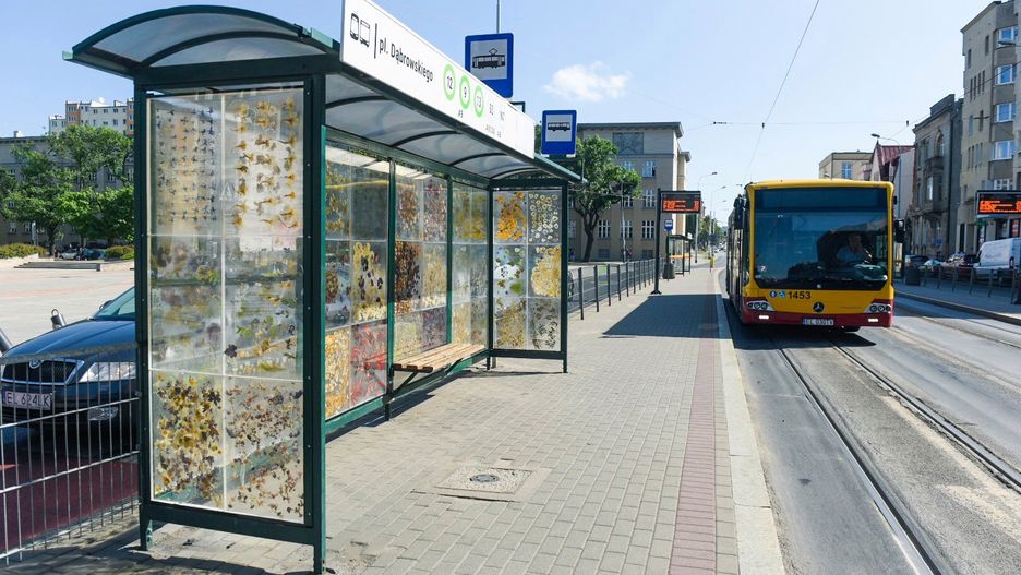 Ekspozycja ma potrwać przynajmniej do końca października