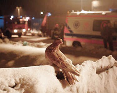 Coraz dalej pomoc dla ofiar tragedii katowickiej