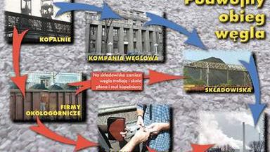 Podwójny obieg węgla