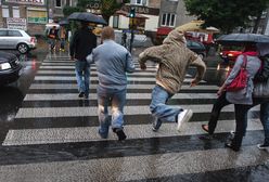 Kierowca kontra pieszy, czyli kto ma pierwszeństwo?