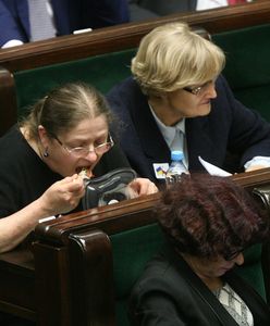 Grzegorz Wysocki: Dlaczego chcę karmić Krystynę Pawłowicz? Rzecz o głodzeniu trolli