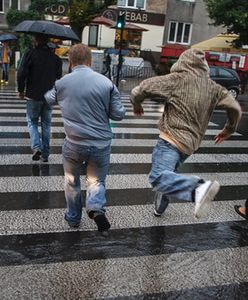 Kierowca kontra pieszy, czyli kto ma pierwszeństwo?