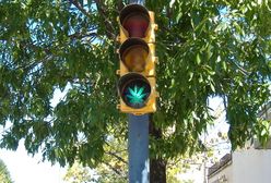 Luksemburg zostanie pierwszym krajem UE z legalną marihuaną. Będzie efekt domina?