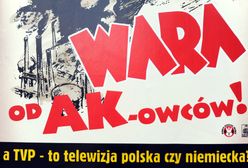 AK kontra niemiecka ZDF. Sąd ws. głośnego serialu "Nasze matki, nasi ojcowie"