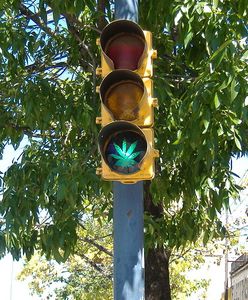 Luksemburg zostanie pierwszym krajem UE z legalną marihuaną. Będzie efekt domina?