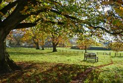 Prognoza pogody na dziś - 10 września. Pogodny zachód, burzowy wschód