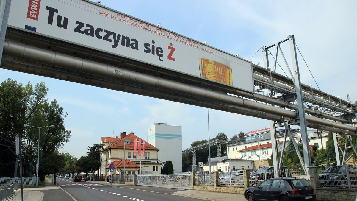 Grupa Żywiec pochwaliła się wynikami sprzedaży piwa.