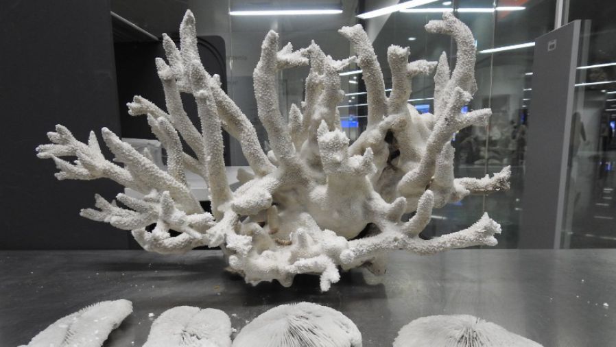 Mężczyzna może mieć poważne problemy