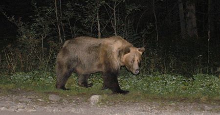Tatry. "Nigdy jeszcze tak się nie bałam". Dramatyczna relacja turystek