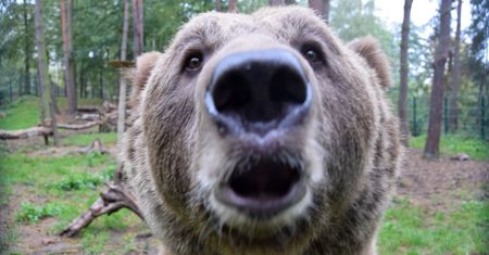 Poznań. W zoo wielka radość. "Wzruszenie odbiera nam mowę"