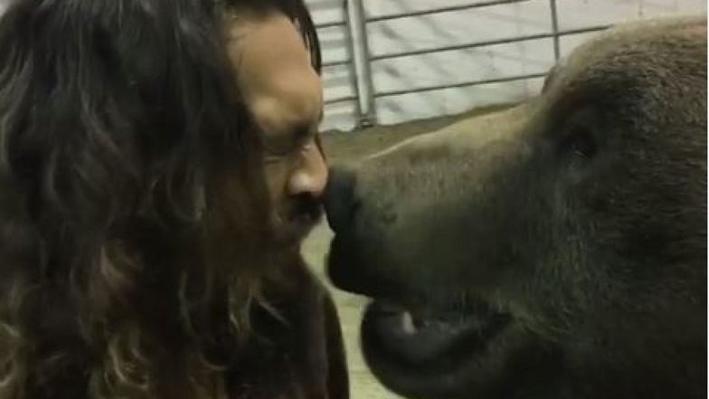 Jason Momoa stanął twarzą w twarz z wielkim niedźwiedziem brunatnym.