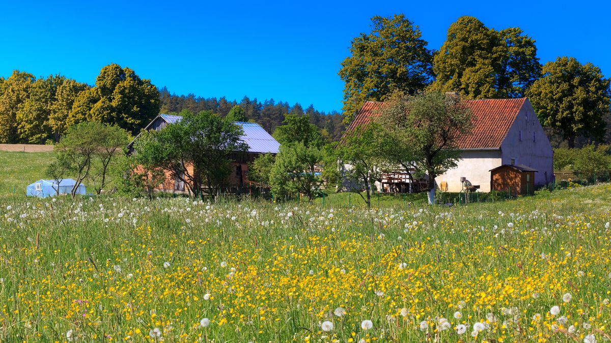 Pod względem warunków mieszkaniowych w Polsce wciąż mamy przepaść między miastem a wsią. 