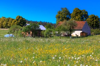 Obrót ziemią od 26 czerwca na nowych zasadach. Będzie trochę łatwiej