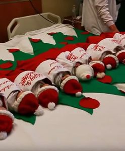 Szpital przygotował dla rodziców niezwykłą niespodziankę na święta. Ten widok rozczuli każdego