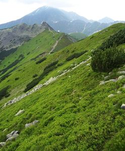 Tatry -  mniej znane szlaki