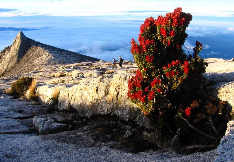 Kinabalu - święta góra Borneo