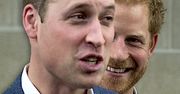 Książe William zaplanował już wieczór kawalerski dla Harry'ego! Skąd on wziął taki pomysł?