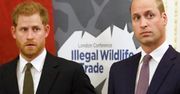 Harry i William znów mają kontakt. Przełom w relacji braci. Zbliżyła ich choroba