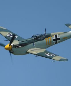 Stegna skrywała historyczny skarb. Pod plażą znaleziono wrak samolotu