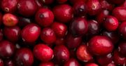 10 najzdrowszych polskich produktów na jesień