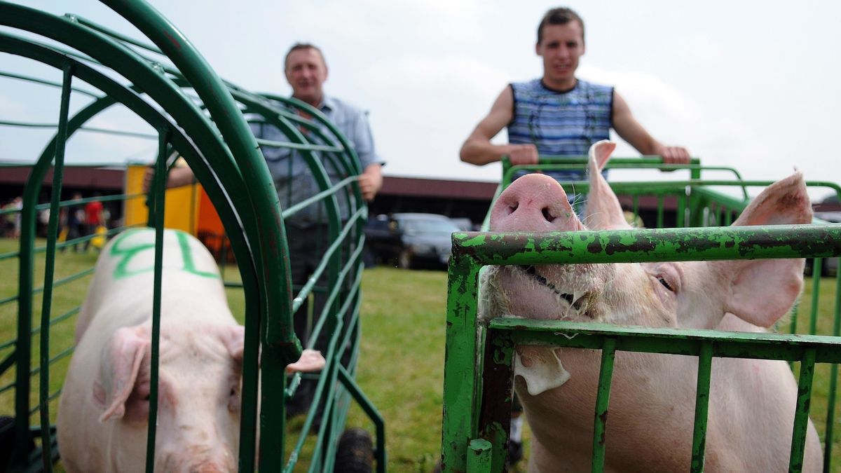 Branży grozi poważny kryzys.