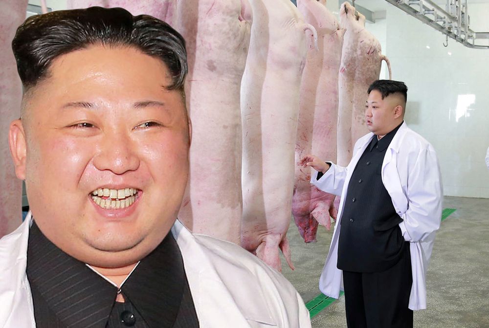 Kim dba o tusze wieprzowe. A Koreańczycy głodują
