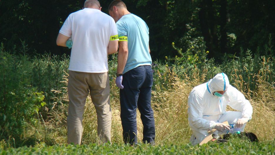 Morderstwo 10-letniej Kristiny. Wizję lokalną przeprowadzono w poniedziałek
