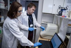 Koronawirus w Polsce. Naukowcy z Poznania opracowali pierwszy polski test diagnostyczny
