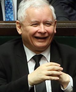 Figlarze, czyli "wnusiu, załóż kaloszki"