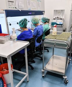 Koronawirus w Polsce. Zarażony mężczyzna dojechał do Polski autobusem. Sanepid o liście pasażerów