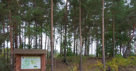 Koronawirus w Warszawie. Kampinoski Park Narodowy zamknięty od czwartku