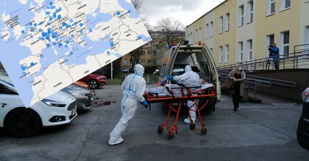 Wracają do kraju z terenów objętych epidemią. Ta mapa pokazuje wszystko