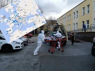 Wracają do kraju z terenów objętych epidemią. Ta mapa pokazuje wszystko