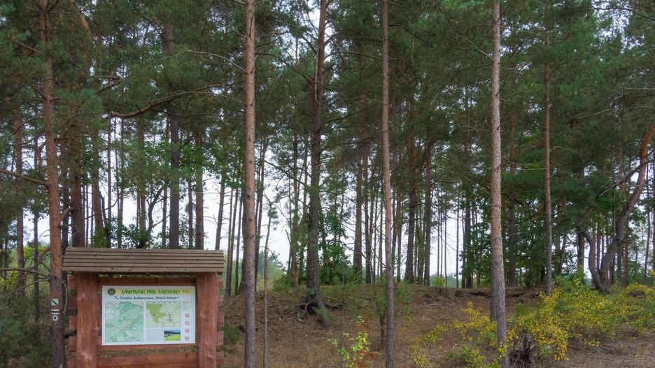 Kampinoski Park Narodowy będzie zamknięty od czwartku.
