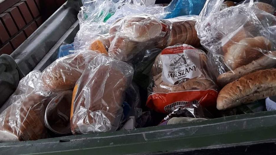 Zapas żywności w śmietniku