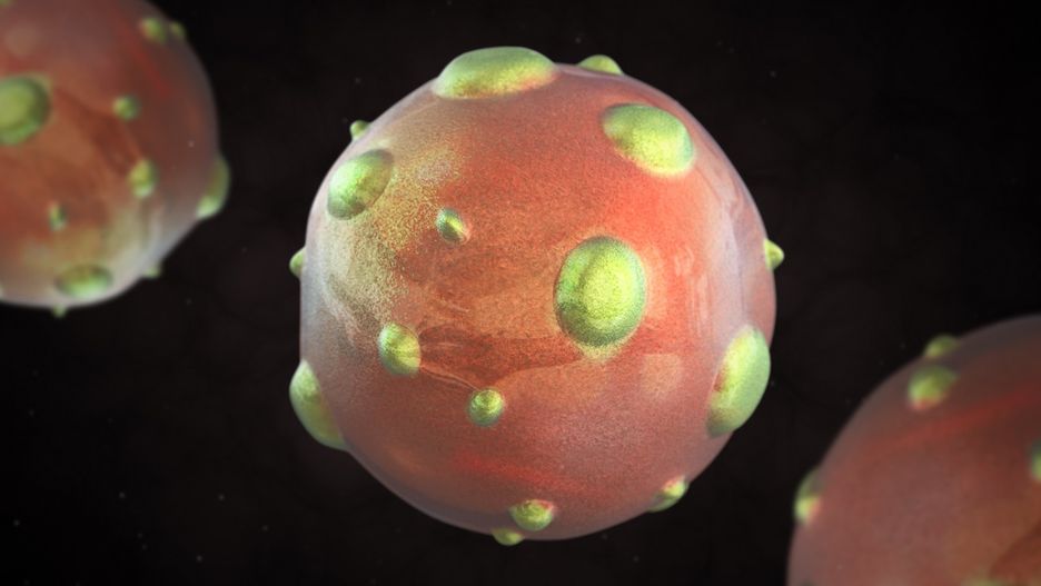 Hantawirus. Naukowcy odpowiadają, czy grozi nam kolejna epidemia