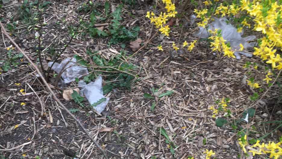 Foliowe rękawiczki leżą wszędzie. W czasach koronawirusa ochrona jest ważna, ale porządek również