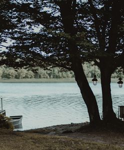 "Żmijowisko": Teaser serialu produkcji Canal+