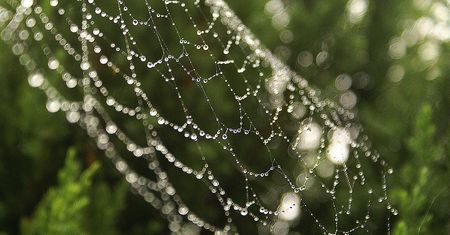 Odróżnisz szadź od rosy? Quiz nie tylko dla meteorologów