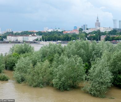 Wisła. Fala kulminacyjna na Mazowszu - trzeci stopień zagrożenia. Zmierza na Kujawy