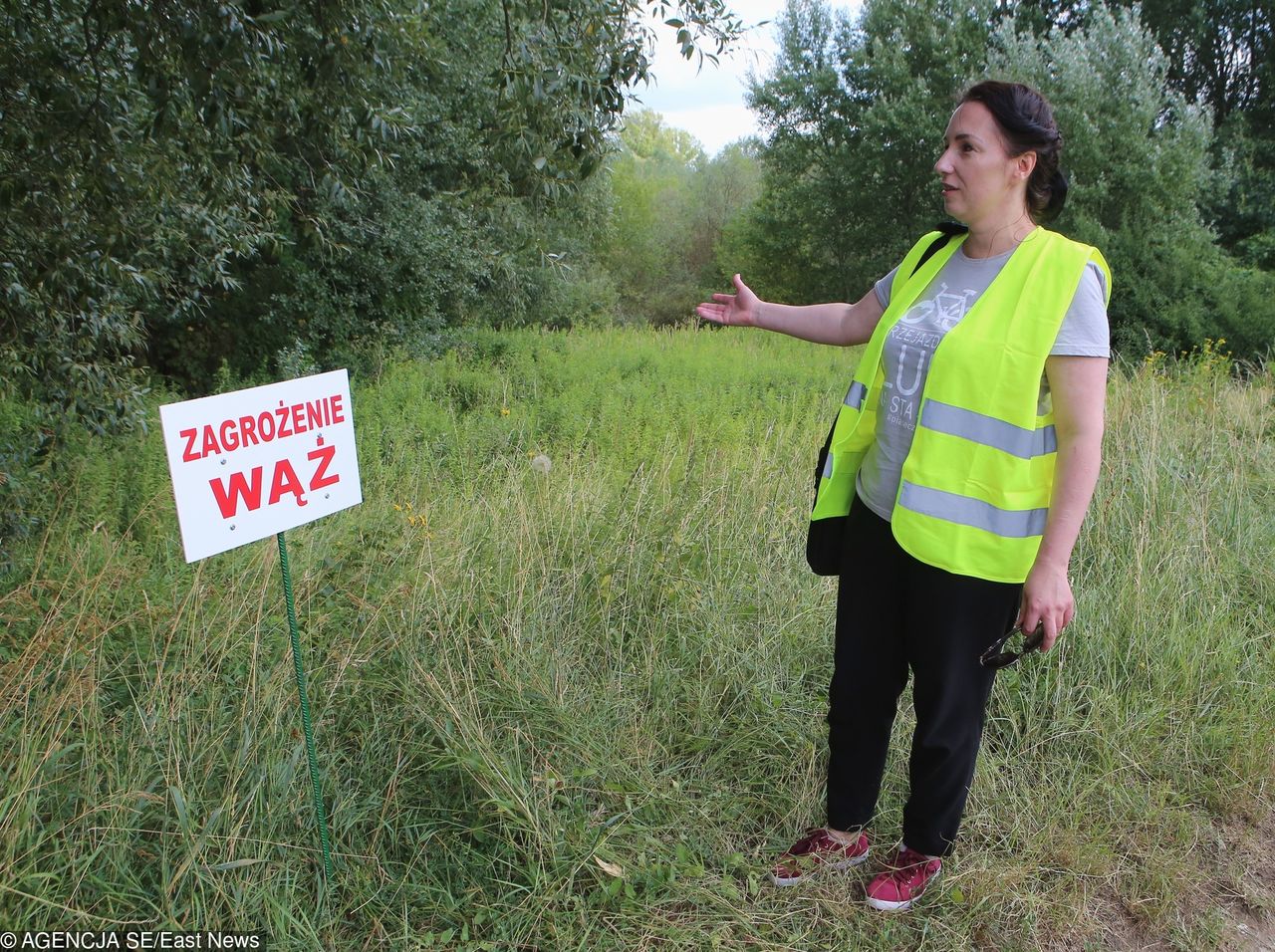 Żegnaj pytonie. Ekspert: wąż mógł odpłynąć Wisłą nawet 100 kilometrów