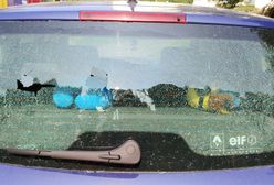 Ktoś strzela do samochodów z wiatrówki. "Ostrzegam przed psychopatą"