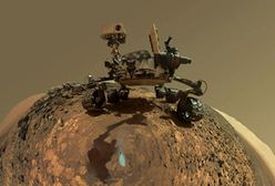 To selfie nie ma konkurencji. Prosto z Marsa