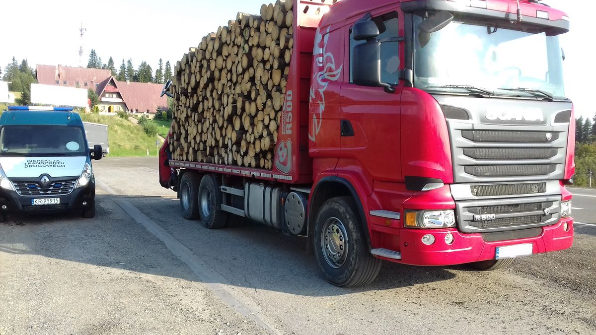 Mandaty na nich nie działają. Czekają, aż ktoś zginie