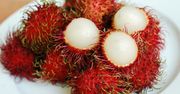Rambutan - zalety chińskiej śliwki