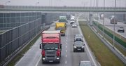 Twardy brexit to dużo wyższe cła. Ekonomiści prognozują